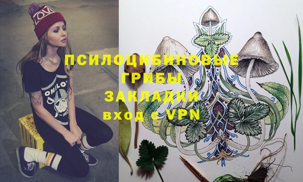 дживик Костерёво