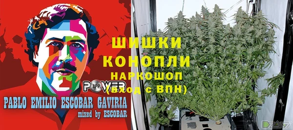 мяу мяу мука Кодинск