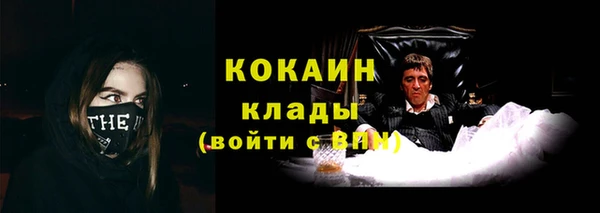 мяу мяу мука Кодинск